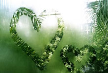 包含苏宁主场击败建业，积分榜排名上升的词条