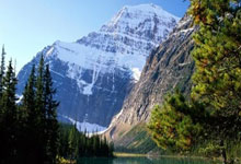 曼神：阿联酋代表，亚洲杯首秀志在晋级